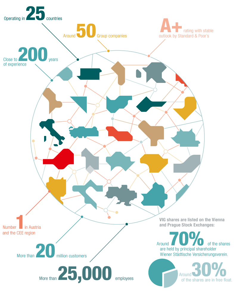 VIG at a glance (illustration)