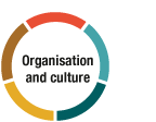 Organisation and culture (illustration)